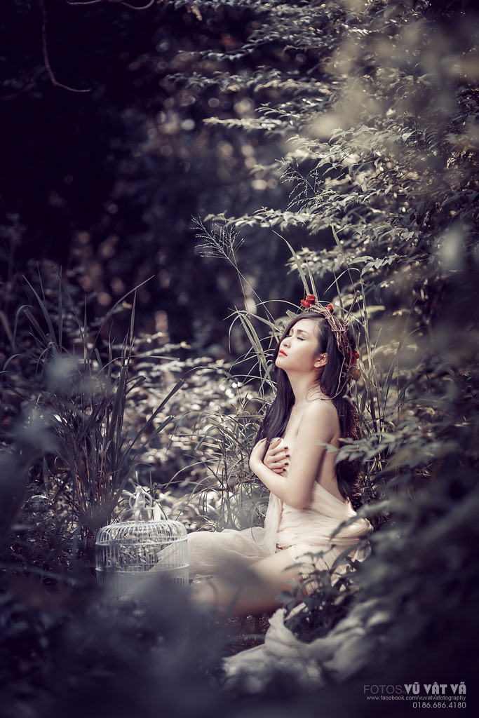 绝望主妇第六季